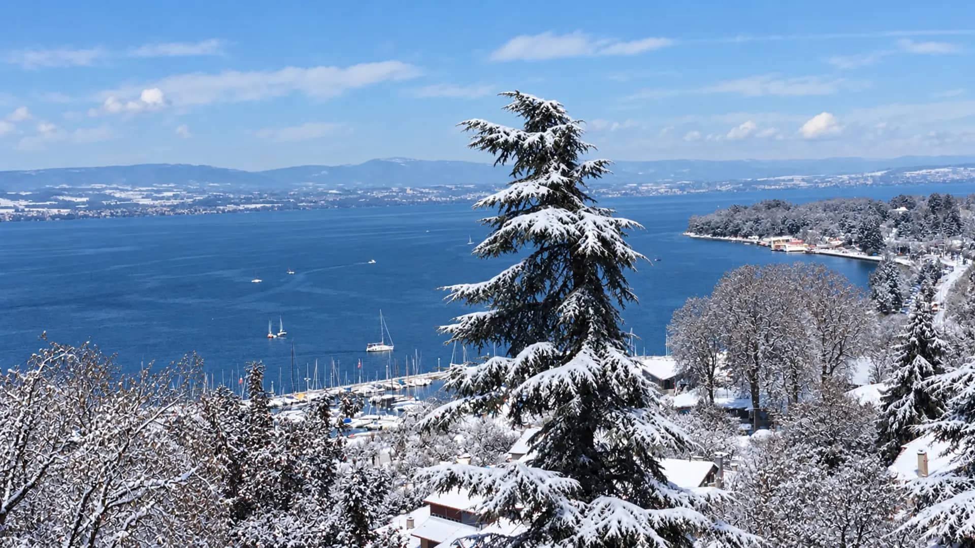 Paysage hivernal à Thonon-les-Bains, Bassin Lémanique — conciergerie Airbnb VM Conciergerie